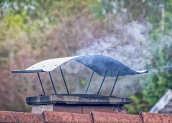Reducing Carbon Emissions in the Transportation Sector