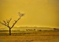 Understanding Your Carbon Footprint: A Guide to Reducing Your Environmental Impact