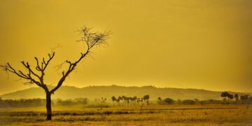 Understanding Your Carbon Footprint: A Guide to Reducing Your Environmental Impact