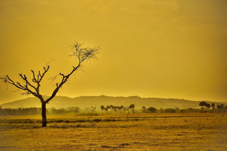 Understanding Your Carbon Footprint: A Guide to Reducing Your Environmental Impact