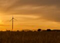 Emerging Leaders in Sustainable Innovation: Green Tech Startups to Watch