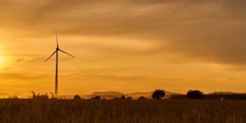 Emerging Leaders in Sustainable Innovation: Green Tech Startups to Watch