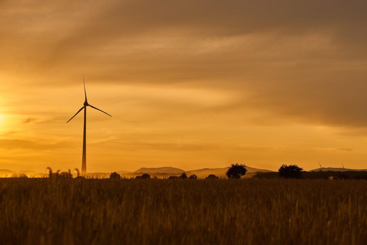 Emerging Leaders in Sustainable Innovation: Green Tech Startups to Watch