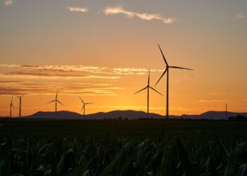 Eating for the Planet: How Sustainable Food Choices Can Change the World