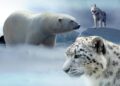 Global Leaders Unite for Groundbreaking Climate Accord