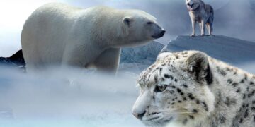 Global Leaders Unite for Groundbreaking Climate Accord