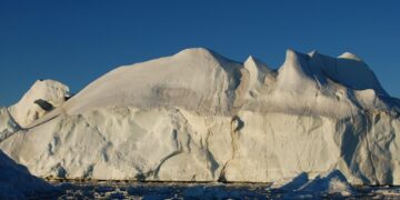 Aligning Profit and Planet: Strategic Approaches to Climate Policy in Business