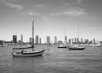 Greening Your Routine: Simple Tips for Everyday Eco-Friendliness