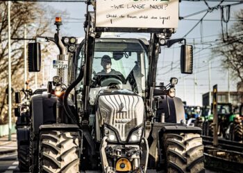 Global Unity Against Climate Change: Examining the Impact of International Agreements