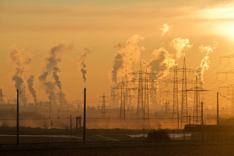 Cultivating Change: Exploring the Nexus of Climate Change and Sustainable Agriculture