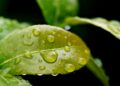 Green Tech Solutions: Energy