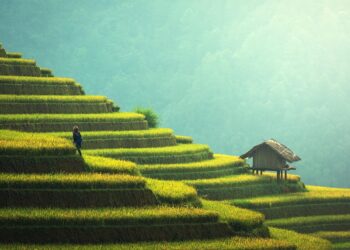 Zero Waste Living: A Beginner’s Guide to Sustainable Practices