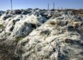 The Silent Contributors to Climate Change