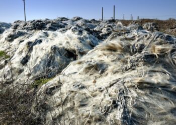 The Silent Contributors to Climate Change