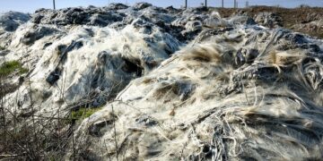 The Silent Contributors to Climate Change