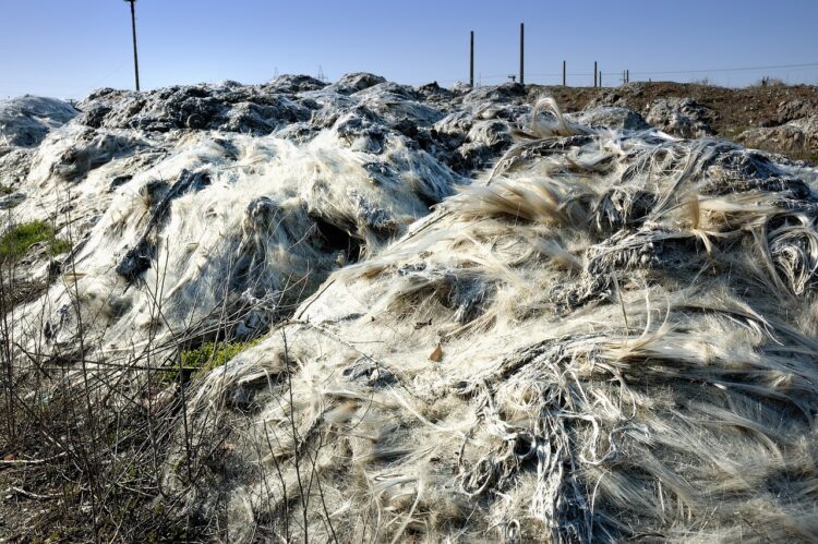 The Silent Contributors to Climate Change