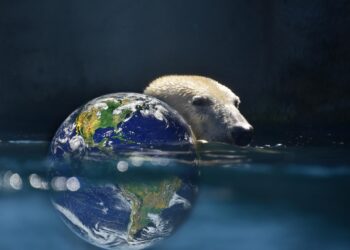 Rising Sea Levels: Unmistakable Signs of Global Warming