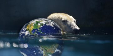 Rising Sea Levels: Unmistakable Signs of Global Warming