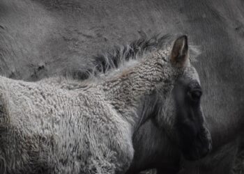 Effective Strategies for Reducing Your Carbon Footprint