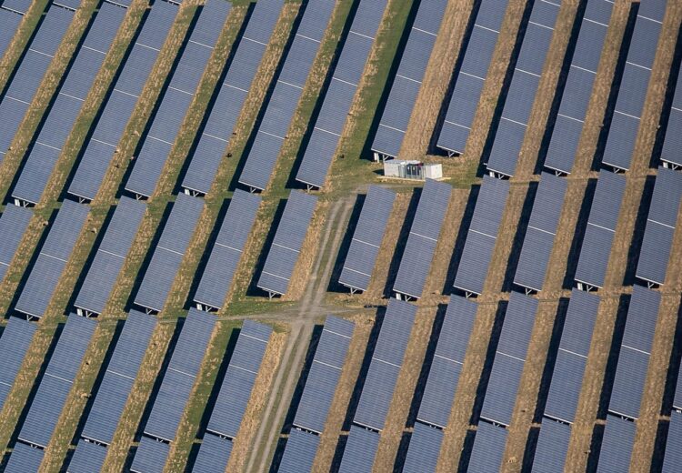 From Novice to Zero Waste Advocate: A Starter Guide