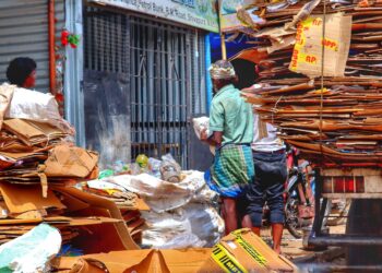 Emerging Trends in Environmental Law: A Cross-Country Analysis