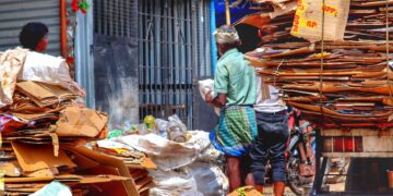 Emerging Trends in Environmental Law: A Cross-Country Analysis