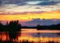 Escalating Earth: A Synopsis of Global Warming Effects