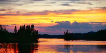 Escalating Earth: A Synopsis of Global Warming Effects