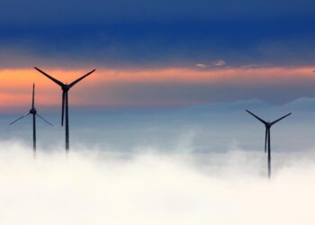 Green Living Made Easy: Practical Tips for Sustainable Daily Routines