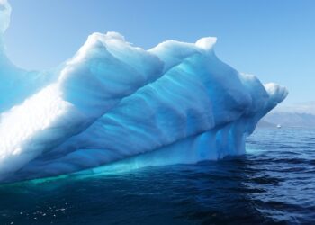 Shifting Winds: An Analysis of Global Climate Policy Trends