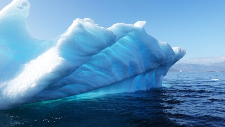 Shifting Winds: An Analysis of Global Climate Policy Trends