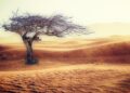 Aligning Corporate Strategy with Global Climate Goals: Innovations and Challenges in Sustainability