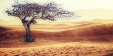 Aligning Corporate Strategy with Global Climate Goals: Innovations and Challenges in Sustainability