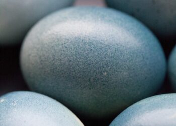 Revolutionizing Sustainability: Innovations in Green Technology