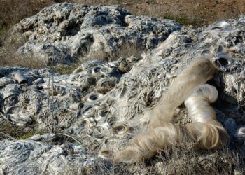 Struggling Polar Wildlife: Unveiling the Dire Consequences