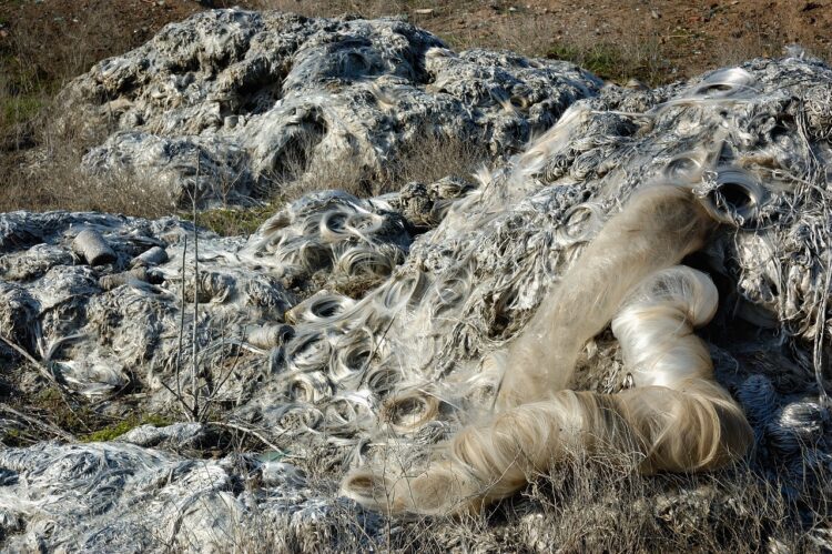 Struggling Polar Wildlife: Unveiling the Dire Consequences