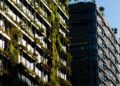 Revolutionizing Sustainability: Exploring Plastic-Free Alternatives for a Greener Tomorrow