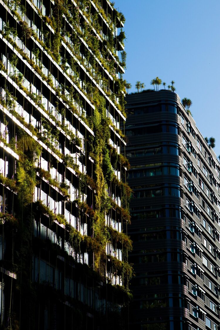 Revolutionizing Sustainability: Exploring Plastic-Free Alternatives for a Greener Tomorrow