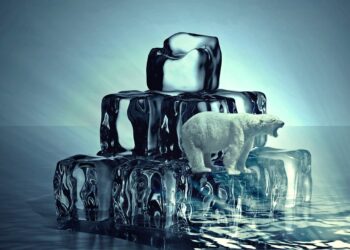 Global Warming Legislation: A Comparative Review of National Strategies