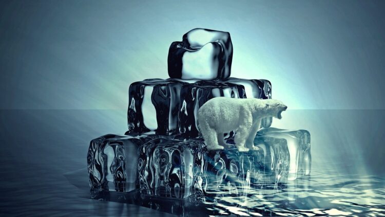 Global Warming Legislation: A Comparative Review of National Strategies