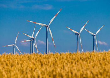 Harnessing the Power of Nature: Exploring the Impact and Potential of Renewable Energy