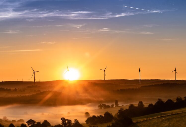 Integrating Eco-Friendly Technologies: The Future of Smart Homes and Sustainability