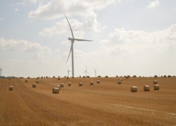 Sustainable Choices: Mastering Eco-Friendly Shopping Habits