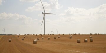 Sustainable Choices: Mastering Eco-Friendly Shopping Habits