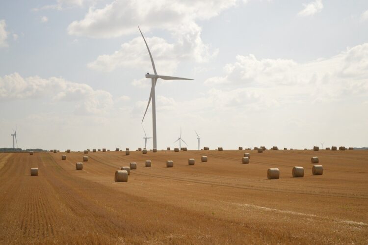 Sustainable Choices: Mastering Eco-Friendly Shopping Habits