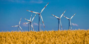 Embracing Green Living: Simple Strategies for a Sustainable Lifestyle