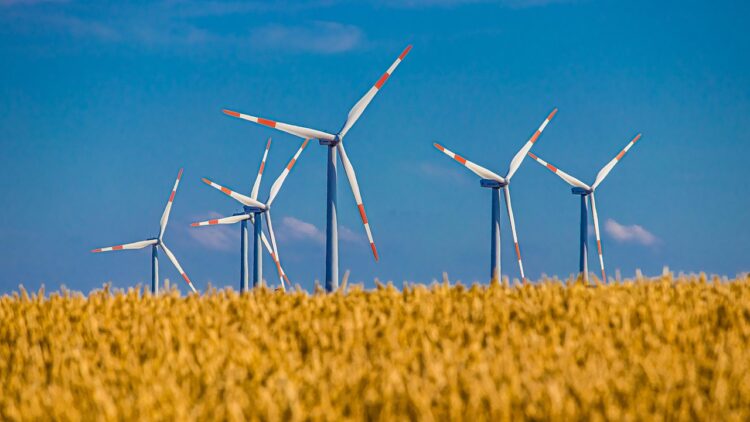 Embracing Green Living: Simple Strategies for a Sustainable Lifestyle