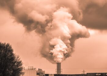 Vanishing Habitats: Human Encroachment and the Silent Decline of Wildlife