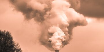 Vanishing Habitats: Human Encroachment and the Silent Decline of Wildlife